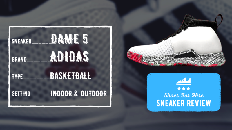 adidas Dame 5 Review: 3 Months of OUTDOOR & INDOOR Action
