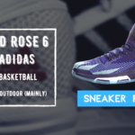D Rose 6 Review