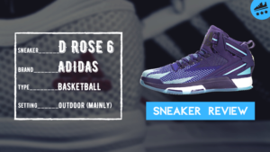 D Rose 6 Review