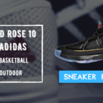 D Rose 10 Review