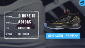 D Rose 10 Review