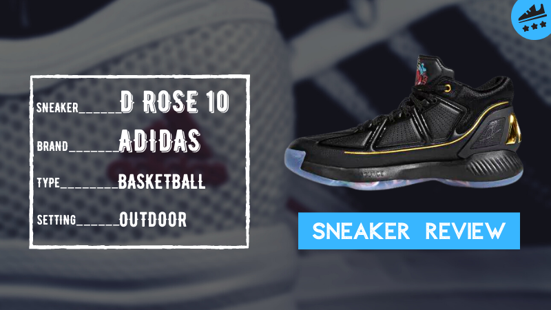 adidas D Rose 10 Review: 4-Month OUTDOOR Breakdown