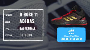 D Rose 11 Review